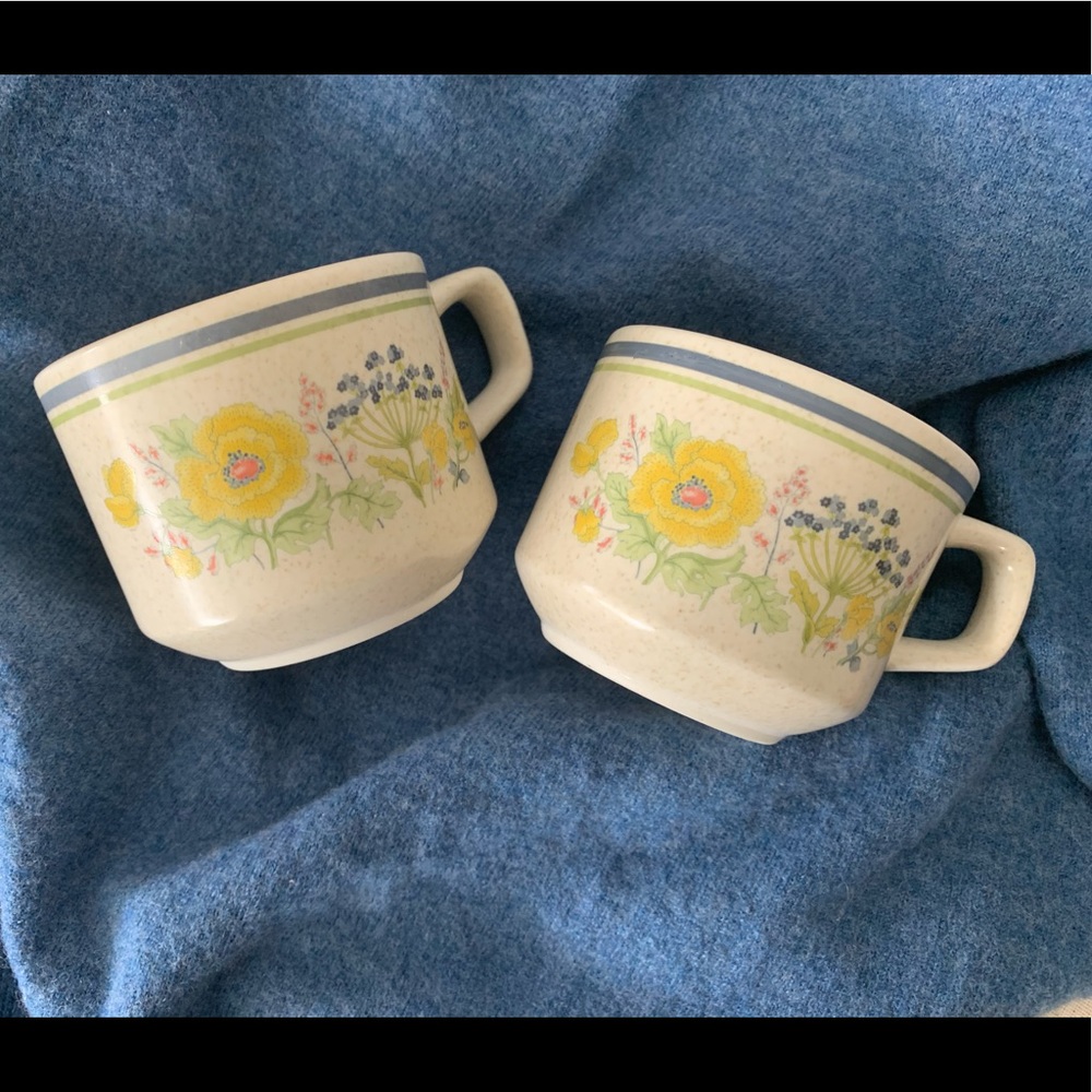 Temper-ware by Lenox Summer Spice Mugs